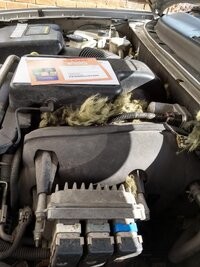 Checking for wiring damage