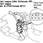 OBD1 Distributor