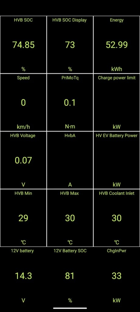 Ford Mustang Mach-E OBD2 App Display