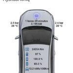 Hyundai Ioniq EV OBD2 Port