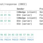 OBD2 Diagnostic Trouble Codes DTC CAN Bus Request Response Example